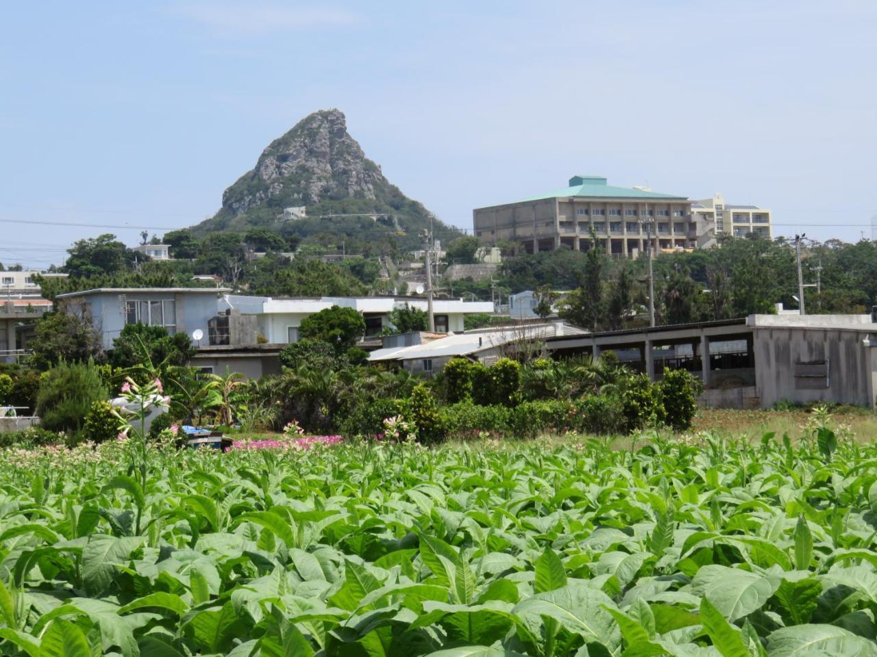 Okinawa Freedom Villa Nakijin Luaran gambar