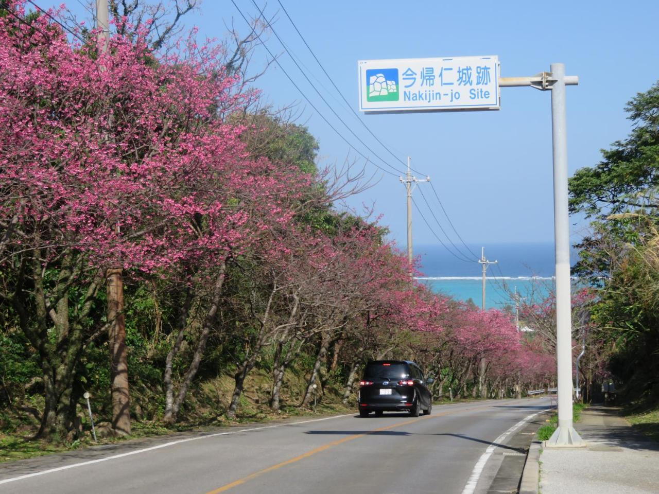 Okinawa Freedom Villa Nakijin Luaran gambar